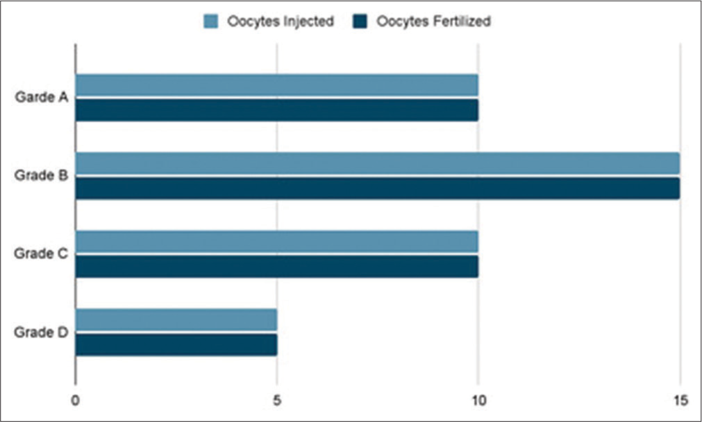 Total number of matured Oocytes injected versus Embryo grading.