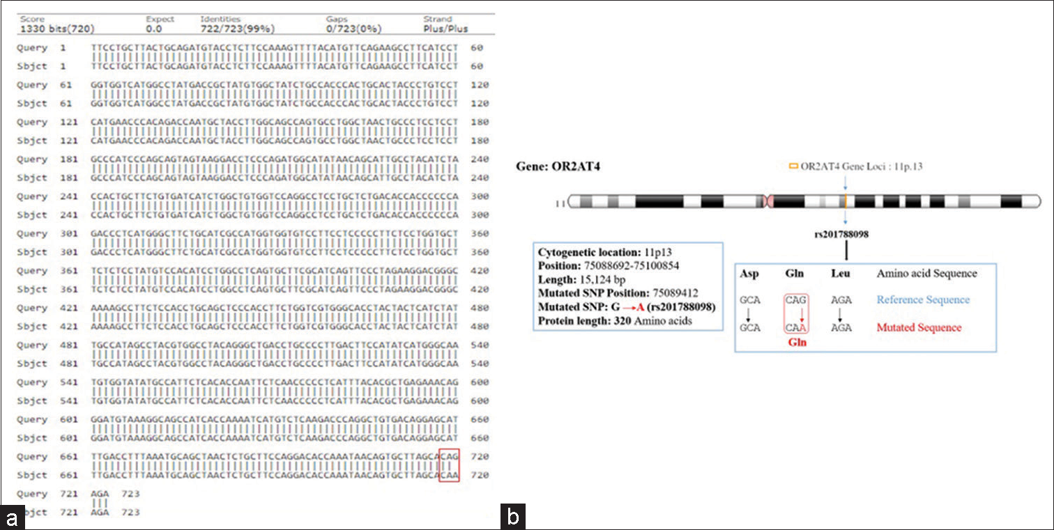 (a and b) Showing pairwise alignment of normal with mutated sequence (mutated sequence in red square bracket) (a), and chromosome location showing mutational site (locus) of olfactory receptor family 2 subfamilies AT member 4 gene assigned on chromosome-11 (11p.13) as shown in (b).