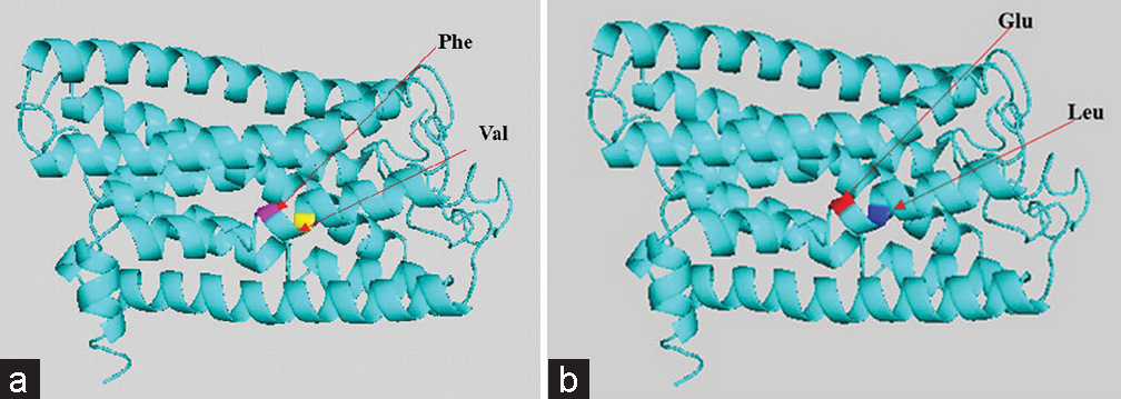 (a and b) Gene-coded protein 3D helical structure of olfactory receptor family 9 subfamily G member 1/9 showing normal (a) and mutated (b) structure with respected changes of amino acid residues.