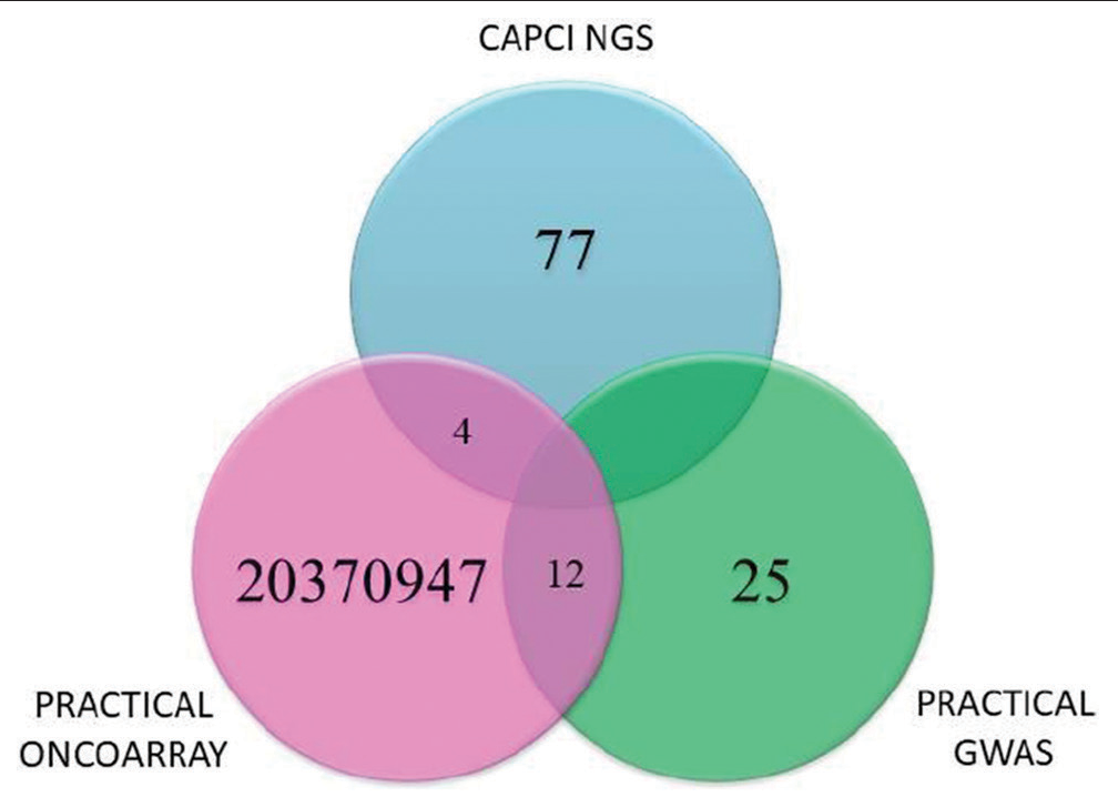 Comparison of risk single-nucleotide polymorphisms between PRACTICAL Consortium and Cancer prostate consortium of India.