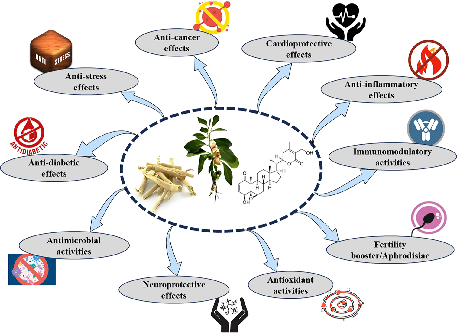 Illustration showing various pharmacological properties of Withania somnifera. Figure created by BioRender.