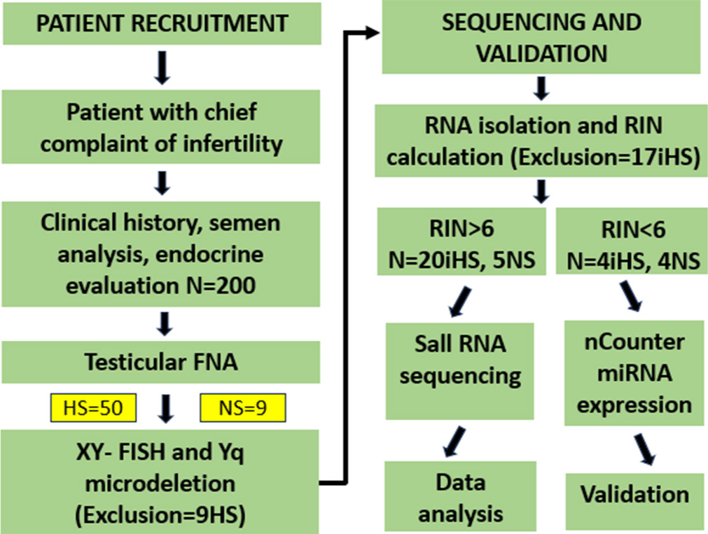 Workflow of the study. RIN: Ribonucleic acid integrity number, RNA: Ribonucleic acid, XY-FISH: Fluorescence in-situ hybridization for X and Y chromosomes, HS: Hypospermatogenesis, iHS: Idiopathic hypospermatogenesis, NS: Normospermatogenesis