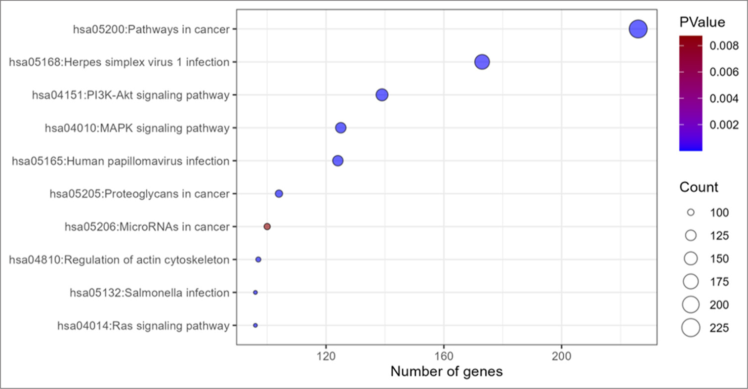 KEGG pathway analysis from target gene list of miRs in iHS represented in bubble map. KEGG: Kyoto encyclopedia of genes and genomes, MAPK: Mitogen activated protein kinase, Pi3K-Akt: phosphatidylinositol 3-kinase protein kinase B, RNA: Ribonucleic acid