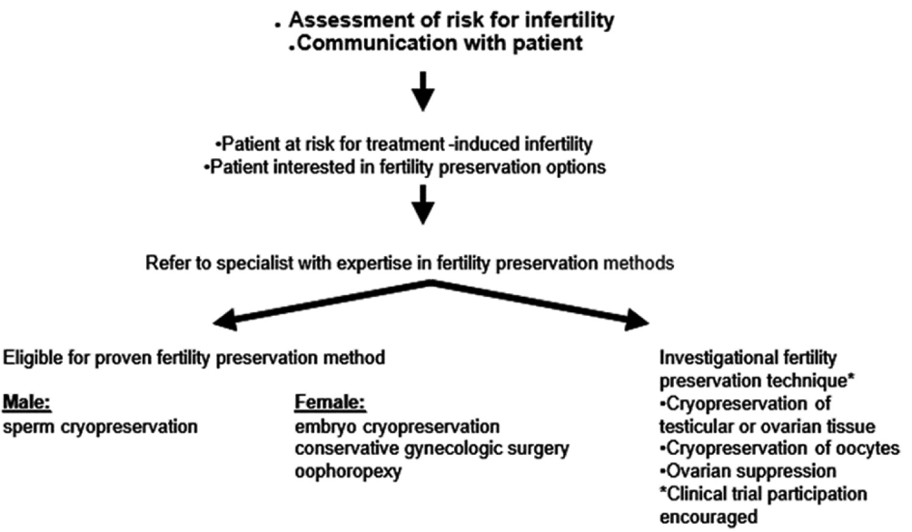 Flow chart depicting ASCO recommendation for fertility preservation in people treated for cancer. ASCO: American Society of Clinical Oncology.